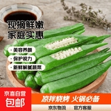 新鲜水果秋葵黄秋葵现摘现发生鲜蔬菜凉拌烧烤火锅食材减肥瘦身 现摘鲜嫩秋葵（家庭实惠装） 2斤