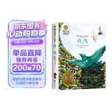 青鸟（新）美绘典藏版国际大奖儿童文学 小学生三四五六年级课外阅读9-12-15岁儿童读物推荐阅读3-6年级寒暑假书青少年世界经典名著故事书