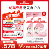 皇家猫粮 幼猫猫粮 幼猫奶糕 K36 通用粮 4-12月 4.5KG*2