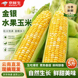 京鲜生 云南金银鲜水果玉米 带皮净重5斤单果300g+新鲜嫩包谷  源头直发