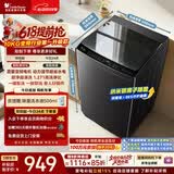 小天鹅（LittleSwan）【价保618】波轮洗衣机全自动家用 10KG 直驱变频 TB10V28DT 一级能效 除菌螨 以旧换新 京东自营