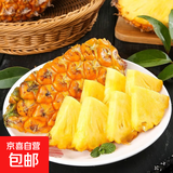 广东徐闻菠萝新鲜水果生鲜湛江香水菠萝金菠萝超甜 【尝鲜】1个装 净重1-1.5斤