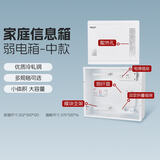 德力西（DELIXI）弱电箱光纤入户智能信息箱带模块多媒体集线箱暗装布线箱中号