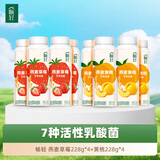 伊利畅轻低温酸奶 燕麦草莓黄桃双口味组合228g*8瓶 风味发酵乳