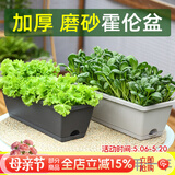 尚洋霍伦种菜花盆小号(灰色*2)家庭育苗神器塑料盆室内阳台植物种植箱