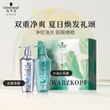 施华蔻（Schwarzkopf）去屑控油礼盒（净屑洗400ml+控油洗400ml）洗发水 团购节日福利