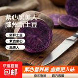 黑土豆新货紫色大土豆马铃薯黑美人土豆乌洋芋紫皮紫心新鲜黑金刚 新鲜黑土豆 5斤