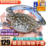 舟山超大梭子蟹新鲜蟹活冻大螃蟹冰鲜飞蟹花盖蟹兰花蟹深海梭子蟹 深海梭子蟹【3斤】 150-200g/只