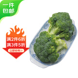 京鲜生新鲜西兰花 净重450g 简装 新鲜蔬菜源头直发