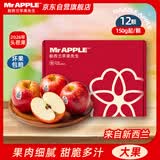 苹果先生Mr Apple 新西兰加力果苹果12粒礼盒装 单果150g起 源头直发