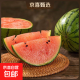 【东东农场专供】2k西瓜网红小糖丸西瓜麒麟西瓜脆甜整箱包邮 小糖丸2-3斤(1-2粒)