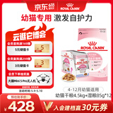 皇家幼猫 干湿搭配   K36 4.5KG+ KJP 85G*12