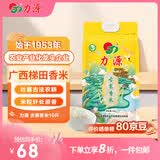 力源古寨香米10斤 广西梯田大米 长粒丝苗米当季新米 源头直发包邮