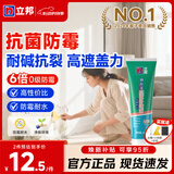 立邦 补墙膏墙面修复补墙膏白色墙面修补防水防霉腻子膏墙面修补 [性价比] 抗菌防霉 250g*1件 件