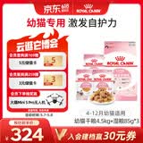 皇家猫粮 幼猫猫粮 干湿搭配 K36 4.5kg+啫喱肉冻KJP 85G*3