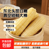 东北白糯玉米正宗粘玉米粗粮玉米新鲜糯玉米大棒真空装头茬新玉米 白糯玉米10支 净重2.5kg