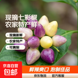 现摘七彩椒新鲜小辣椒蔬菜农家特产广东广西五彩椒泡椒可腌制剁椒 5斤