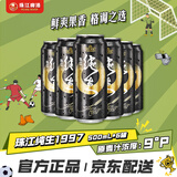 珠江啤酒（PEARL RIVER）9度 珠江97纯生淡爽拉格啤酒 500mL*6听 618大促