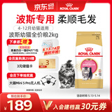 皇家猫粮 波斯幼猫粮 KP32 通用粮 4-12月 2KG
