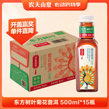 农夫山泉东方树叶菊花普洱500ml*15瓶无糖茶饮料0糖0脂0卡饮品整箱装