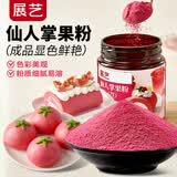 展艺仙人掌果粉 100g 果蔬粉奶茶店专用食用冲饮泡烘焙雪花酥上色原料