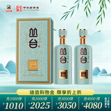 丛台 窖龄原浆20精英版 浓香型白酒 38度 480mL*2瓶 婚宴 送礼