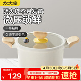 炊大皇 汤锅 微压不粘快煮煲汤煮汤复底汤锅 电磁炉电陶炉通用 22cm