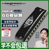 BoogieMAN【园园同款】66号公路PADDY口琴十孔布鲁斯成人儿童蓝调口琴10孔