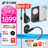 森海塞尔（Sennheiser）IE900/IE600/IE300旗舰级HIFI高保真超宽单动圈单元可拆卸MMCX挂耳式耳机 高保真发烧有线耳机耳塞 IE300+海贝W4便携播放器