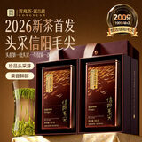 贡苑2026新茶头采芽珍品信阳毛尖200g 高端明前绿茶叶礼盒端午父亲节