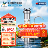 道尔顿（Doulton）净水器家用直饮英国原装进口  道尔顿明星爆款DIS厨下矿物质净水机自来水过滤0废水不用电 DIS套机(自带/加配各1芯共2支)