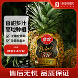 佳农菲律宾黑钻凤梨1粒装 净重2.4斤起 生鲜水果 源头直发 包邮