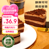 鲜京采 黑巧酪酪巧克力蛋糕420g/6块 动物奶油零食糕点下午茶节日礼赠