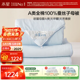 水星家纺蚕丝被100%蚕丝子母被子冬被冬季加厚被芯约10.2斤220cm×240cm