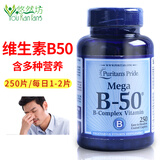 Puritan's Pride普丽普莱维生素b族VB b1 b2 b6 b50美国原装进口 维生素B50片剂 250片*1瓶