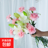 康乃馨百合鲜花混搭套餐云南鲜花直发居家插花母亲节送长辈花束 随机康乃馨20枝+随机百合5朵