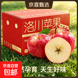 正宗红富士丑苹果脆爽多汁应季红富士苹果新鲜苹果多仓混发 陕西洛川带箱3斤净重2.5斤