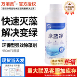 万消灵游泳池灭藻环保型杀藻剂水处理药剂泳池强效除藻剂950ml/瓶