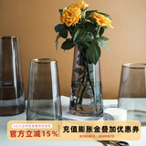 舍里 舍里 轻奢描金北欧简约装饰摆件玻璃花瓶透明创意餐桌INS插花器 烟灰描金中号（高度25cm）