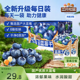 三只松鼠每日蓝莓干256g/16包 无添加水果干果脯小包装儿童老人办公室零食