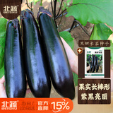 北蔬 茄子种子种苗黑又亮长茄阳台盆栽蔬菜种籽 黑妍长茄种子50粒