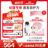 皇家幼猫猫粮 幼猫奶糕 K36 通用粮 4-12月 10KG