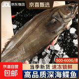 深海鲽鱼整条500-600g/条 大号冷冻海水鱼偏口鱼鸦片鱼比目鱼净重 整条鲽鱼500-600g*5条
