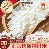 太粮鲜碾长粒猫牙米20斤箱装 大米丝苗米5kg*2 象州大米 当季新米