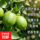 广东香水柠檬包邮新鲜水果柠檬精选皮薄奶茶店【百补优选】 香水柠檬6粒装  单果净重70g+