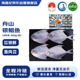 海鼎纪舟山海捕银鲳鱼400g*2包 4条/包 生鲜鱼类