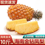 译优农正宗海南金钻凤梨新鲜热带水果当季香水金菠萝手撕小菠萝金凤梨 9斤【精选装】海南直发
