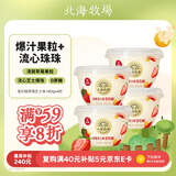 北海牧场宝石碗草莓芝士140g*4杯 0蔗糖3.7g蛋白 低温酸奶 健康轻食