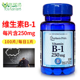 Puritan's Pride普丽普莱维生素b族VB b1 b2 b6 b50美国原装进口 维生素B1 250mg 100片*1瓶