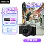 松下S9（18-40mm F4.5-6.3）套机 （Panasonic）全画幅微单 实时Lut 滤镜直出 连接app极速分享-灰银